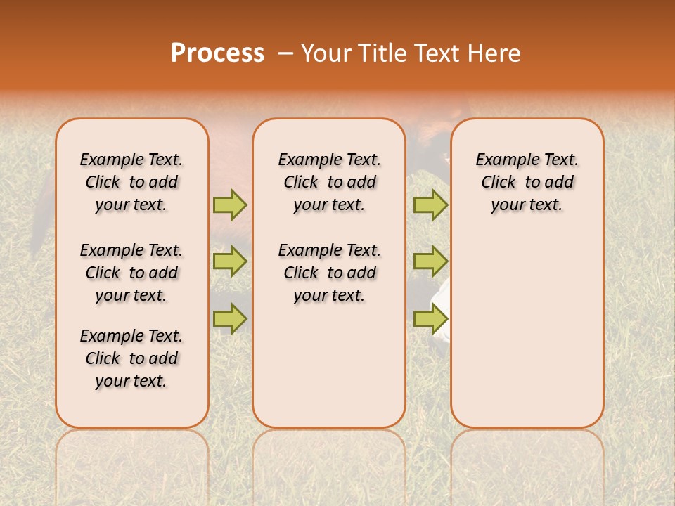 Tervueren Puppy PowerPoint Template