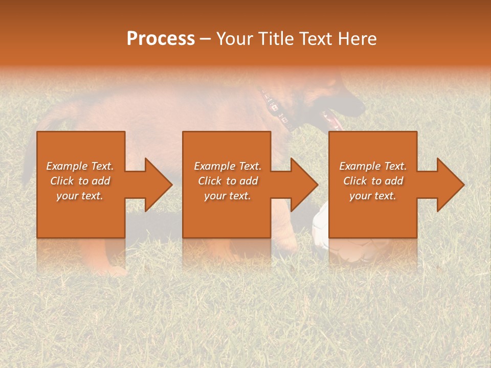 Tervueren Puppy PowerPoint Template