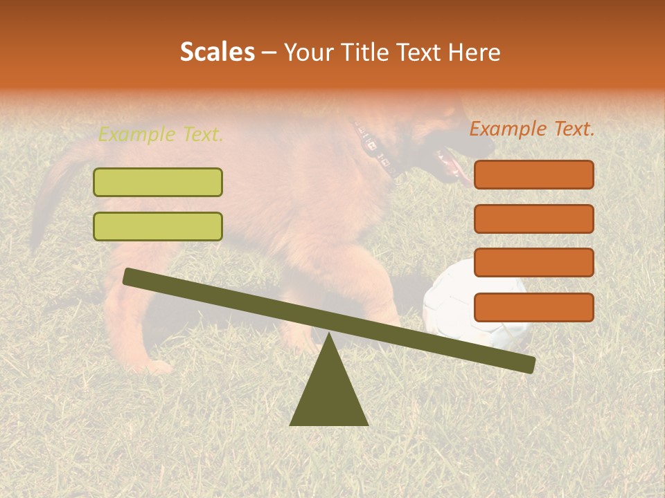 Tervueren Puppy PowerPoint Template