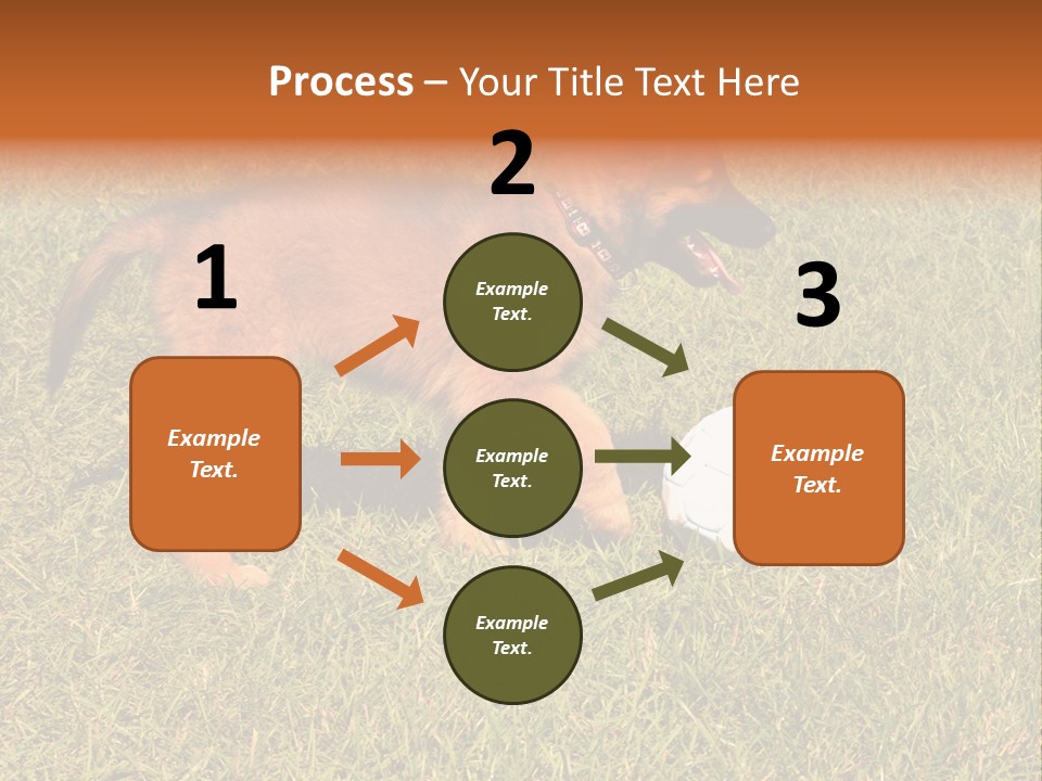 Tervueren Puppy PowerPoint Template