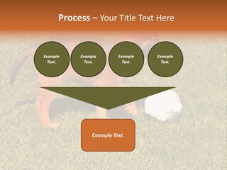 Tervueren Puppy PowerPoint Template