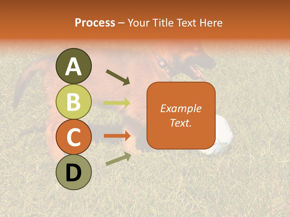 Tervueren Puppy PowerPoint Template