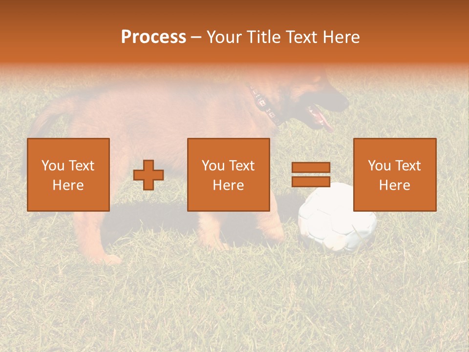 Tervueren Puppy PowerPoint Template