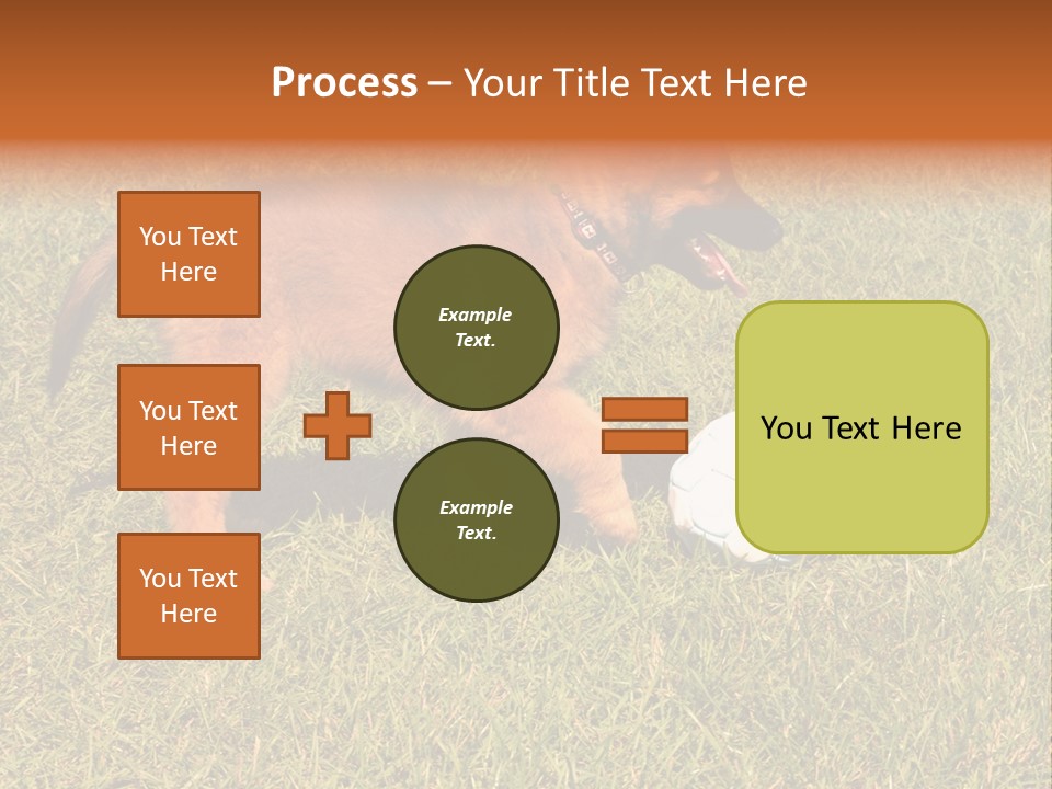 Tervueren Puppy PowerPoint Template