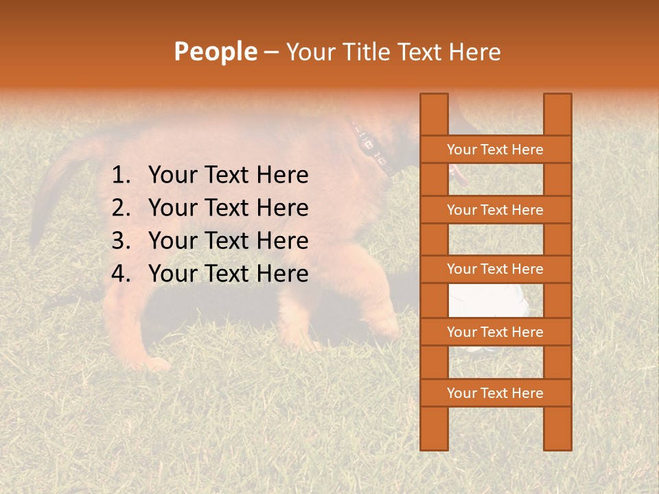 Tervueren Puppy PowerPoint Template