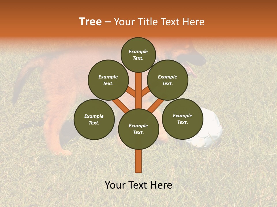 Tervueren Puppy PowerPoint Template