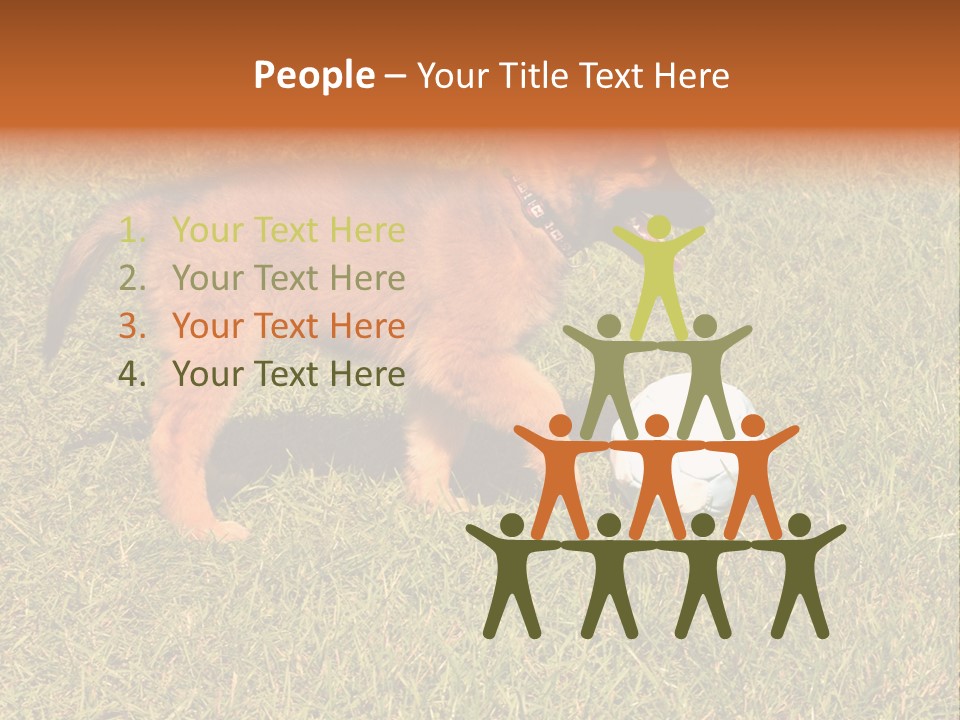 Tervueren Puppy PowerPoint Template