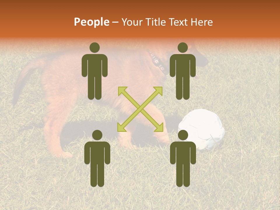 Tervueren Puppy PowerPoint Template