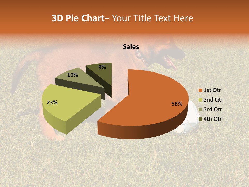 Tervueren Puppy PowerPoint Template