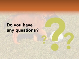 Tervueren Puppy PowerPoint Template