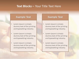 Hamburger PowerPoint Template
