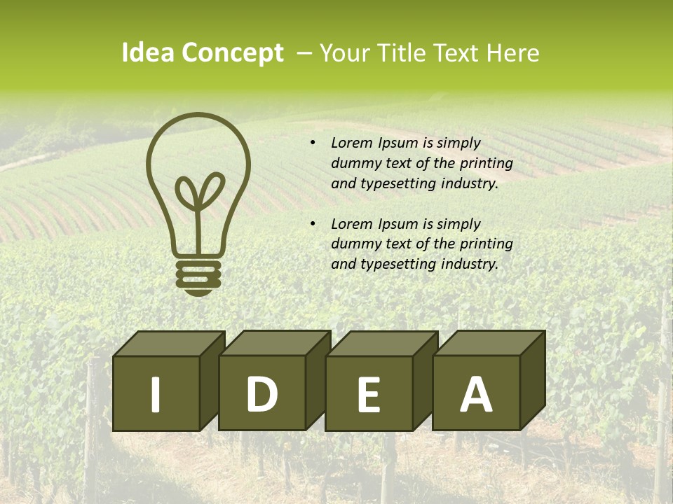 These Are Grape Vines Growing In The Dundee Hills, Oregon. PowerPoint Template