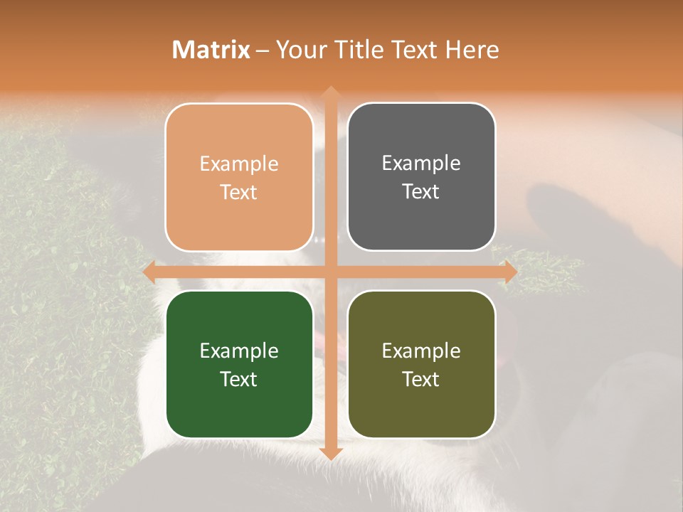 A Black And White Dog Sitting On Top Of A Lush Green Field PowerPoint Template