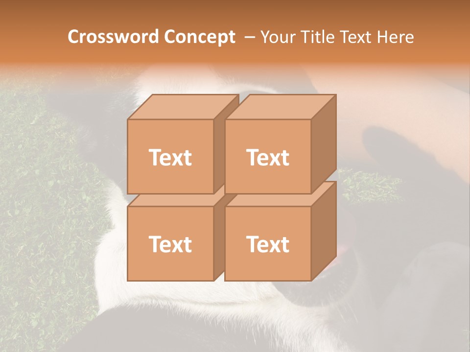 A Black And White Dog Sitting On Top Of A Lush Green Field PowerPoint Template