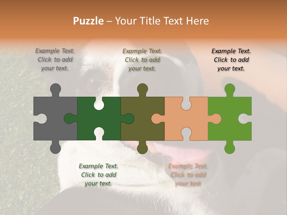 A Black And White Dog Sitting On Top Of A Lush Green Field PowerPoint Template