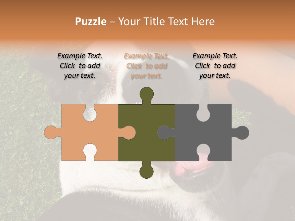 A Black And White Dog Sitting On Top Of A Lush Green Field PowerPoint Template