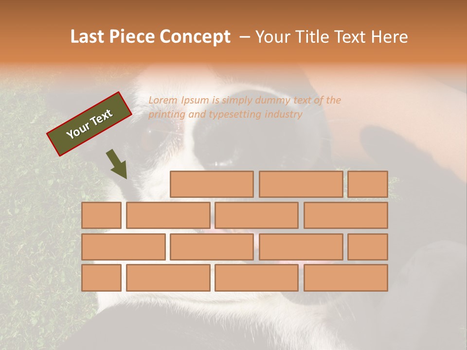 A Black And White Dog Sitting On Top Of A Lush Green Field PowerPoint Template