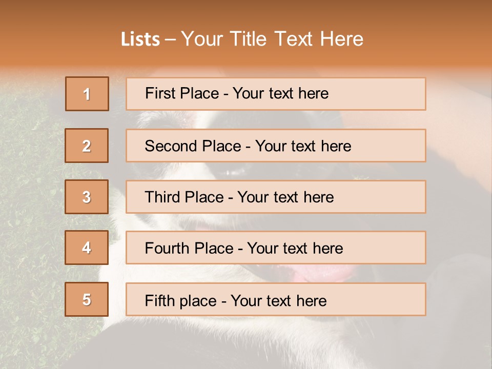 A Black And White Dog Sitting On Top Of A Lush Green Field PowerPoint Template