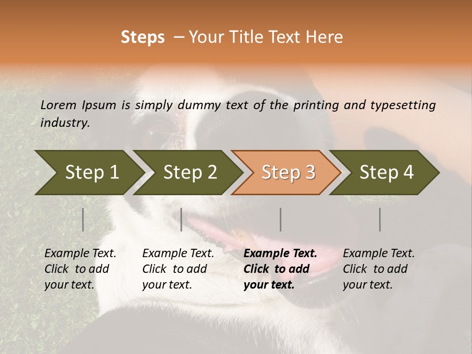 A Black And White Dog Sitting On Top Of A Lush Green Field PowerPoint Template