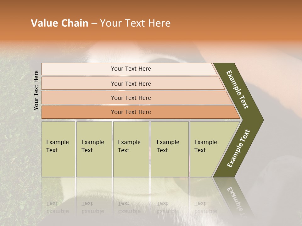 A Black And White Dog Sitting On Top Of A Lush Green Field PowerPoint Template