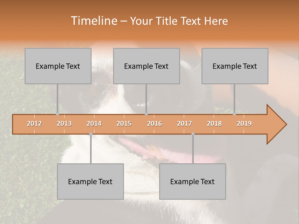 A Black And White Dog Sitting On Top Of A Lush Green Field PowerPoint Template