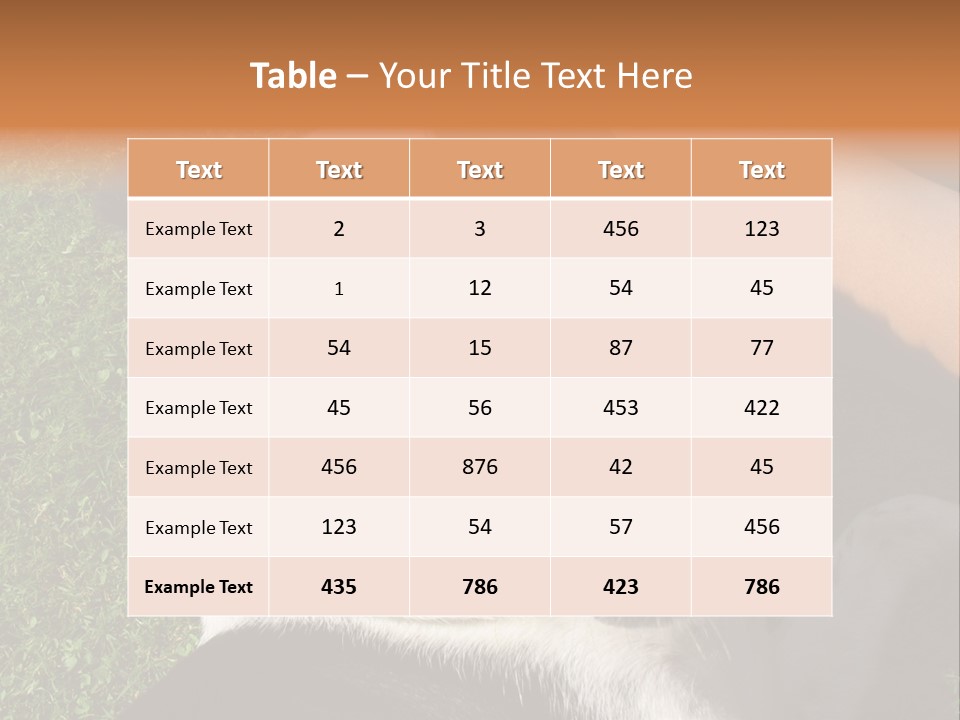 A Black And White Dog Sitting On Top Of A Lush Green Field PowerPoint Template