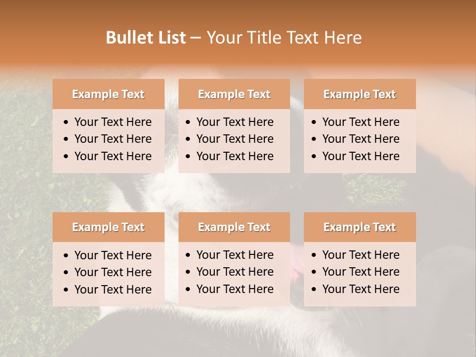 A Black And White Dog Sitting On Top Of A Lush Green Field PowerPoint Template