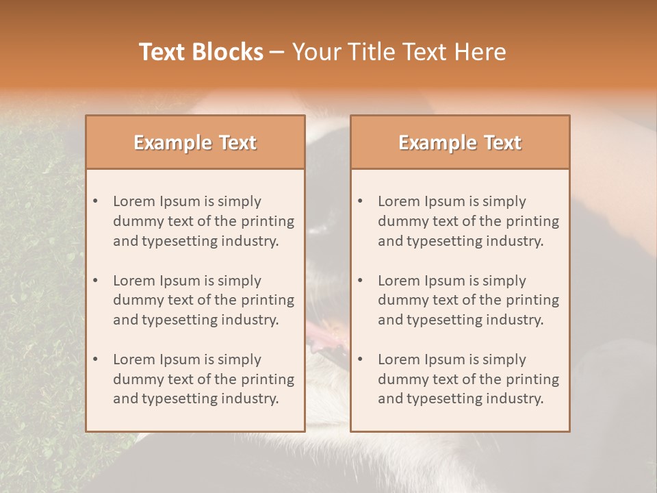 A Black And White Dog Sitting On Top Of A Lush Green Field PowerPoint Template