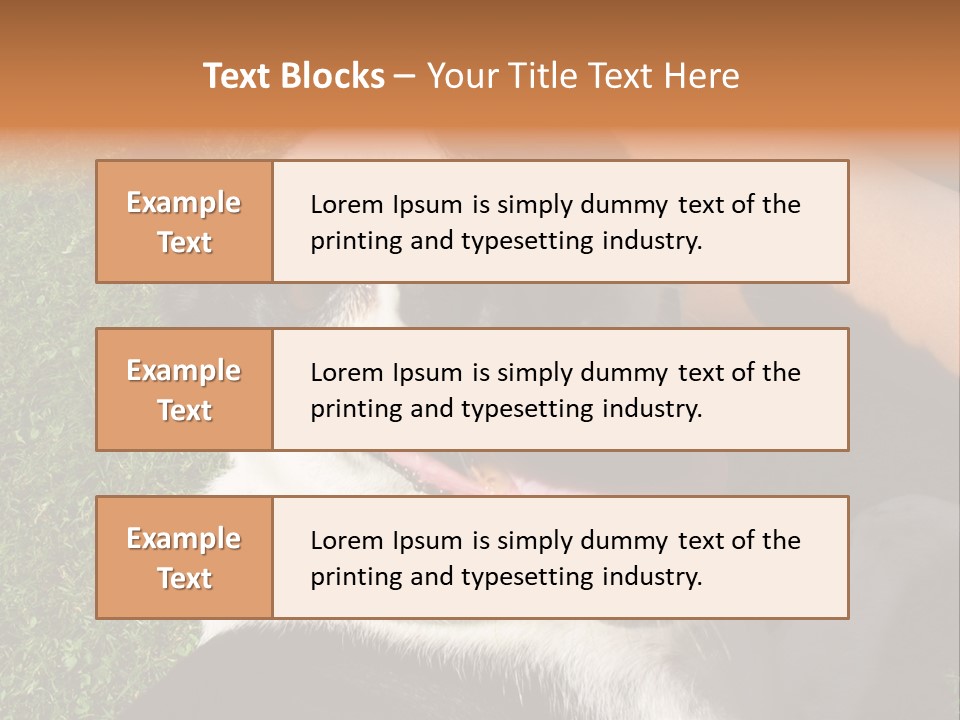 A Black And White Dog Sitting On Top Of A Lush Green Field PowerPoint Template