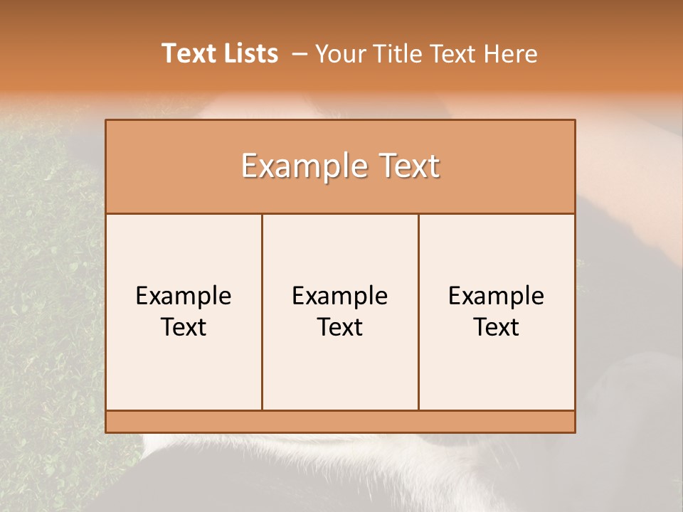 A Black And White Dog Sitting On Top Of A Lush Green Field PowerPoint Template