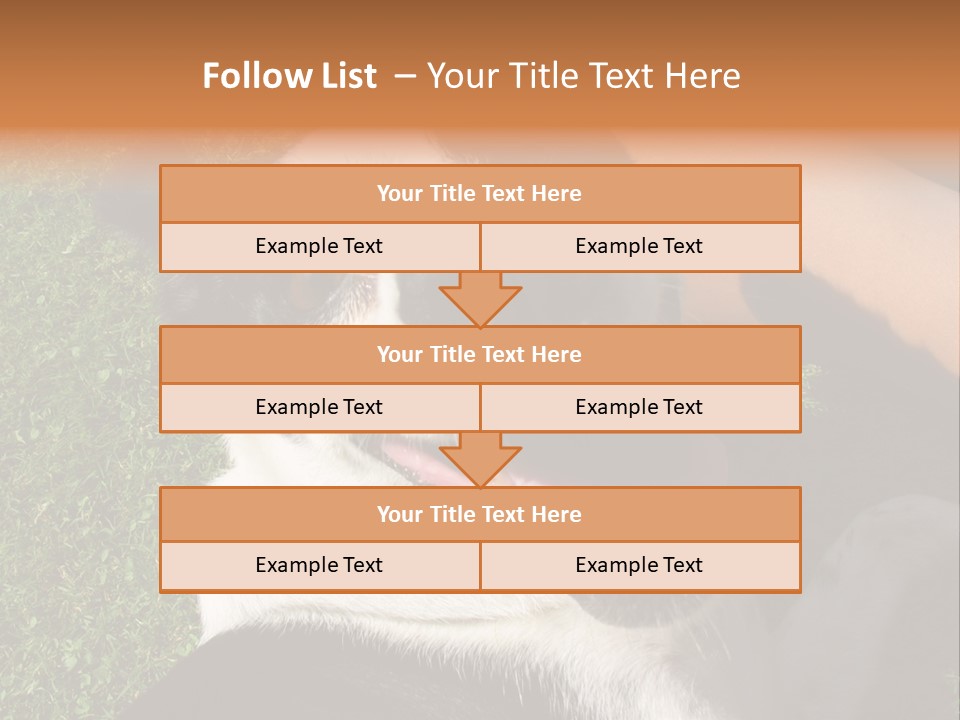 A Black And White Dog Sitting On Top Of A Lush Green Field PowerPoint Template