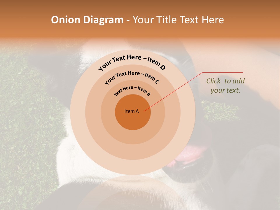 A Black And White Dog Sitting On Top Of A Lush Green Field PowerPoint Template