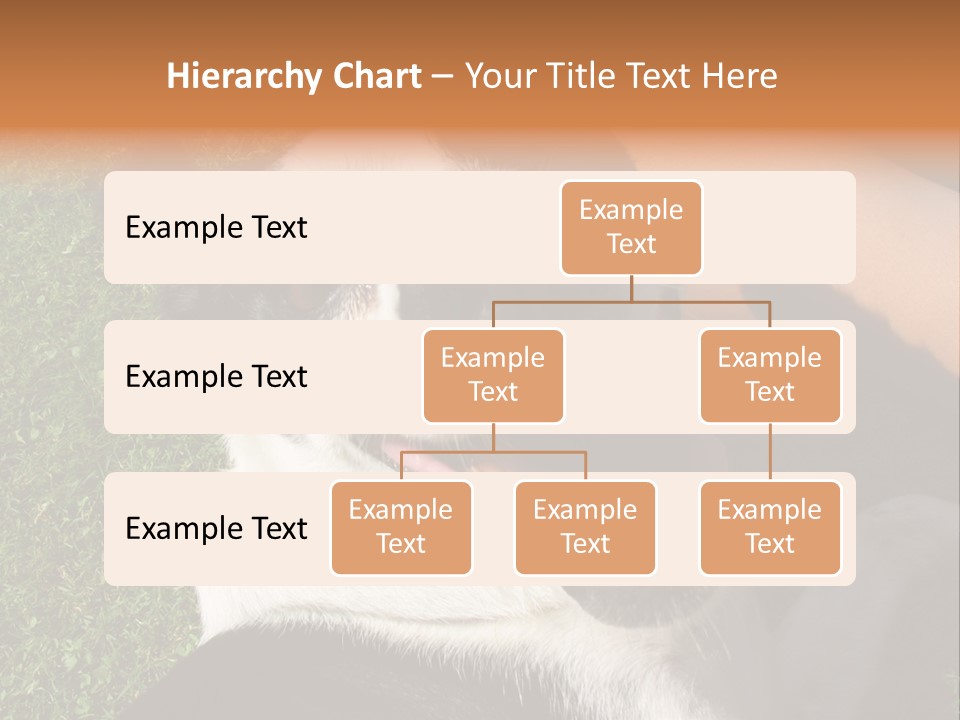 A Black And White Dog Sitting On Top Of A Lush Green Field PowerPoint Template