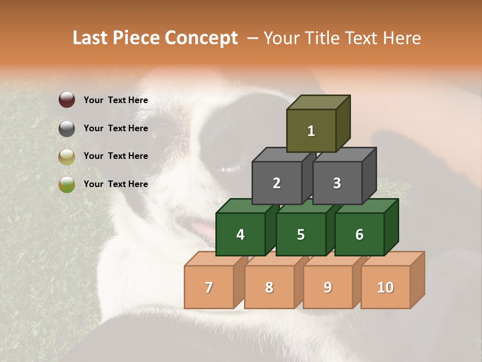 A Black And White Dog Sitting On Top Of A Lush Green Field PowerPoint Template