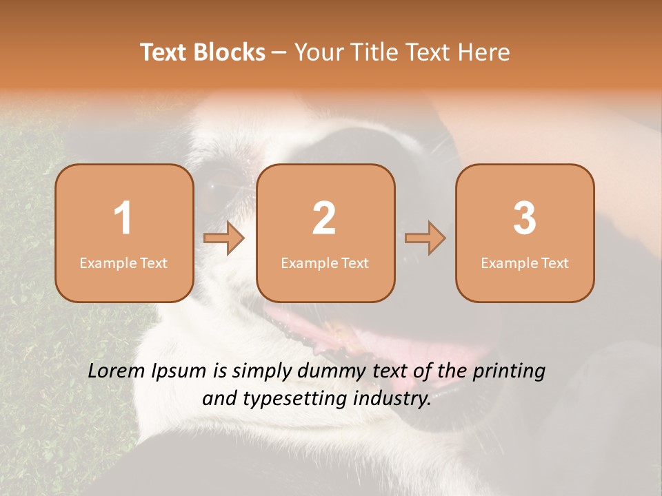 A Black And White Dog Sitting On Top Of A Lush Green Field PowerPoint Template