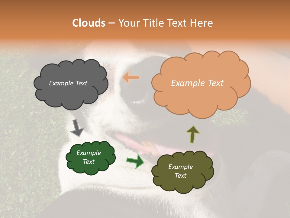 A Black And White Dog Sitting On Top Of A Lush Green Field PowerPoint Template