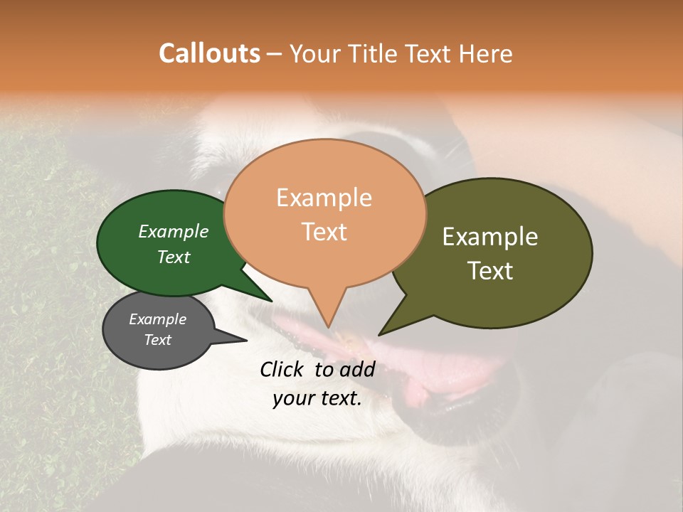 A Black And White Dog Sitting On Top Of A Lush Green Field PowerPoint Template