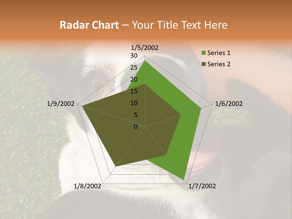A Black And White Dog Sitting On Top Of A Lush Green Field PowerPoint Template