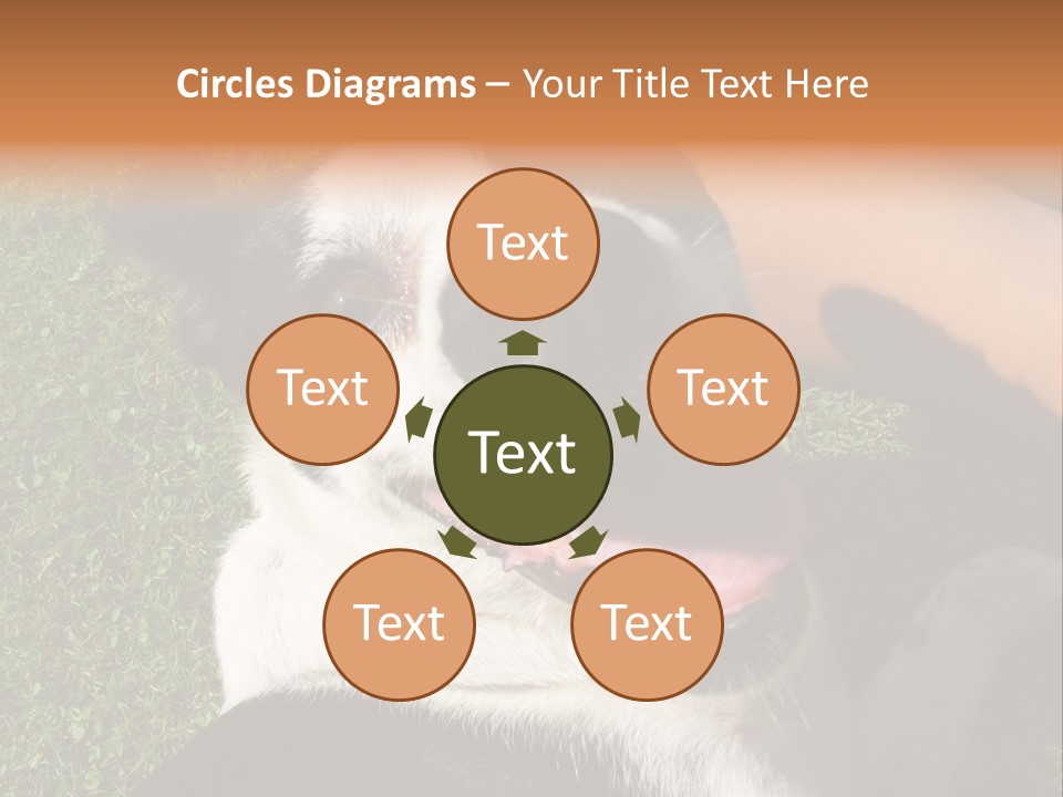 A Black And White Dog Sitting On Top Of A Lush Green Field PowerPoint Template