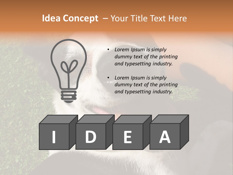 A Black And White Dog Sitting On Top Of A Lush Green Field PowerPoint Template