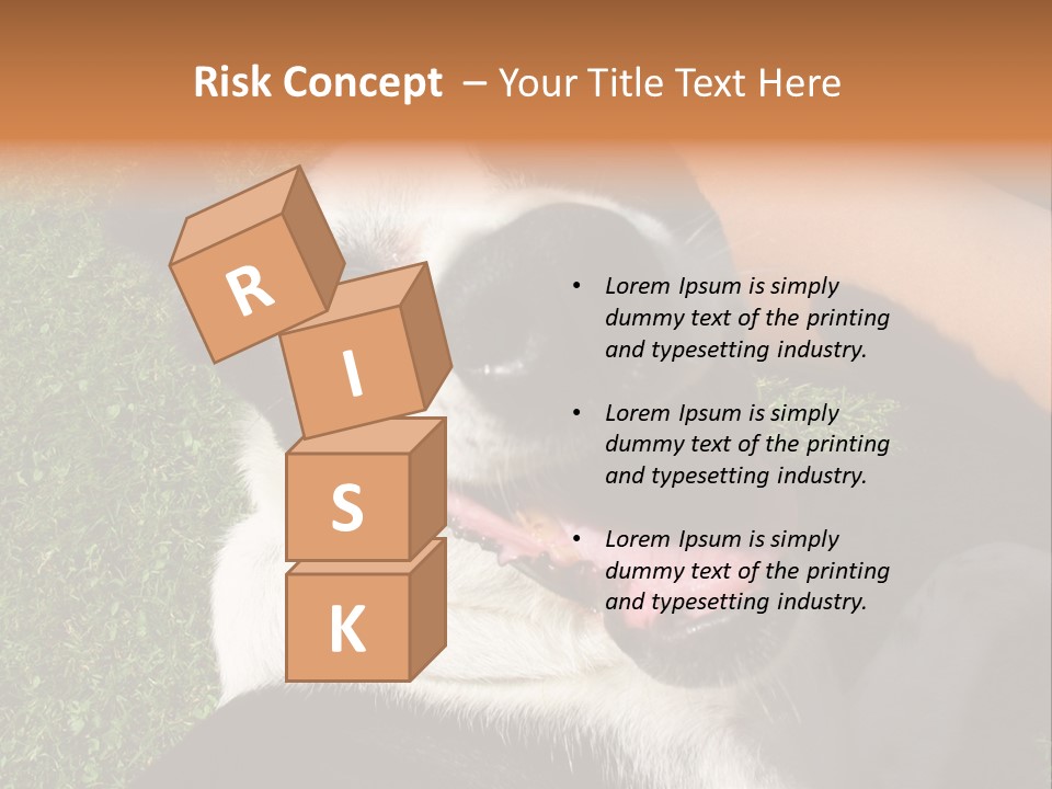 A Black And White Dog Sitting On Top Of A Lush Green Field PowerPoint Template