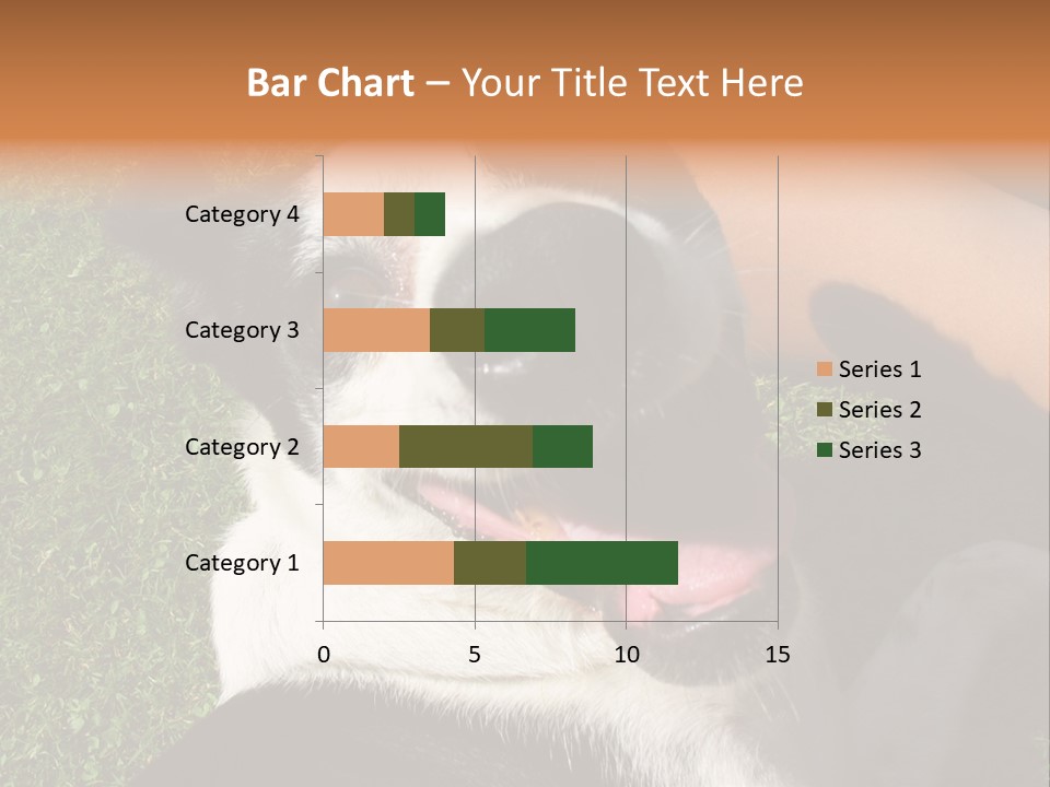 A Black And White Dog Sitting On Top Of A Lush Green Field PowerPoint Template