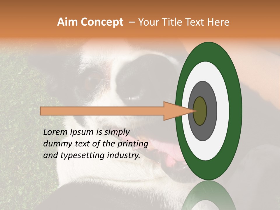 A Black And White Dog Sitting On Top Of A Lush Green Field PowerPoint Template