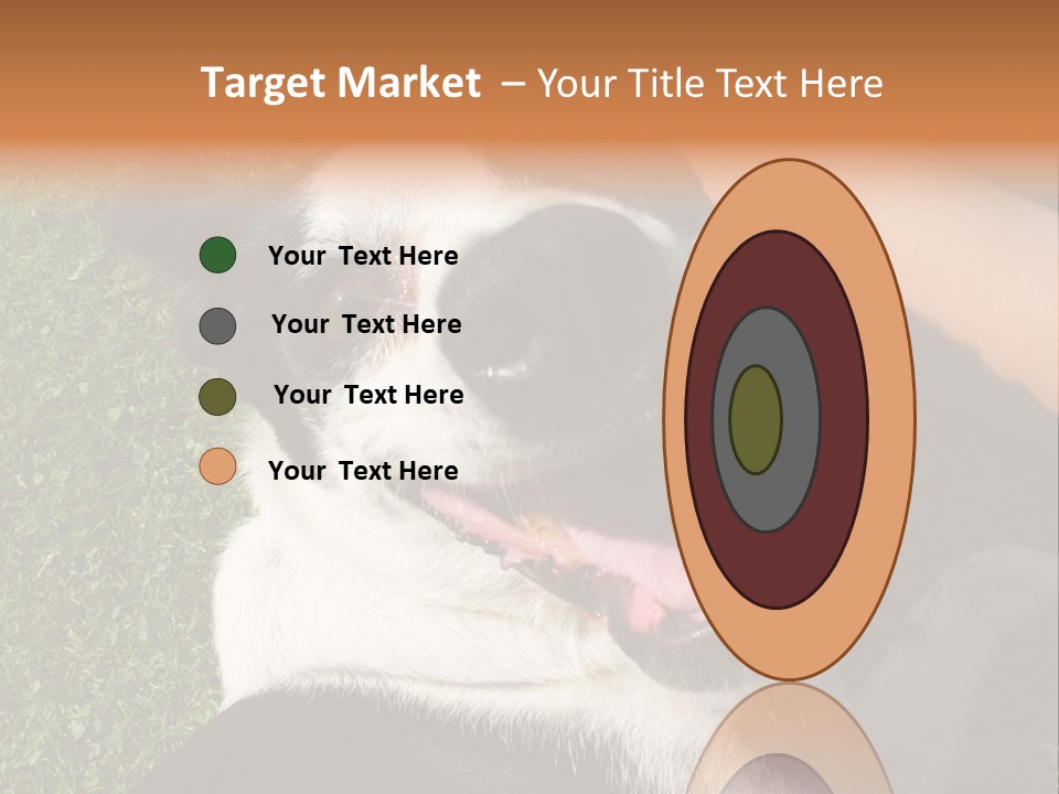 A Black And White Dog Sitting On Top Of A Lush Green Field PowerPoint Template