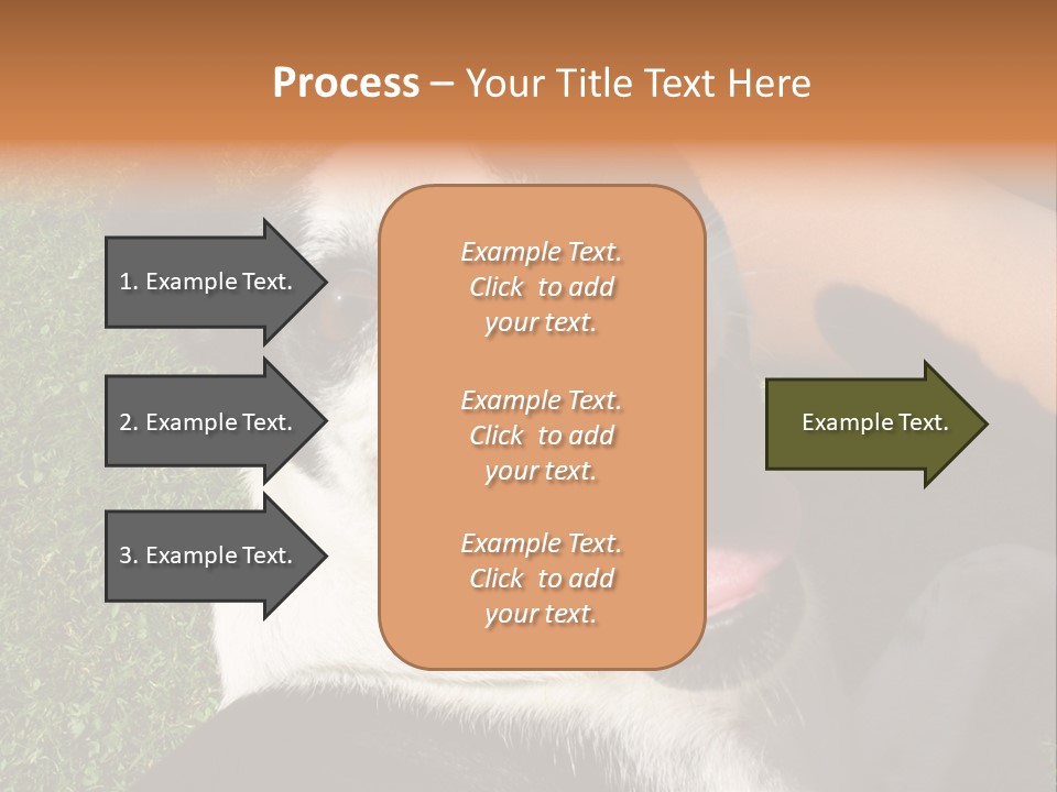 A Black And White Dog Sitting On Top Of A Lush Green Field PowerPoint Template