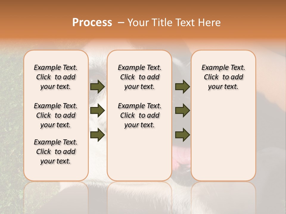 A Black And White Dog Sitting On Top Of A Lush Green Field PowerPoint Template
