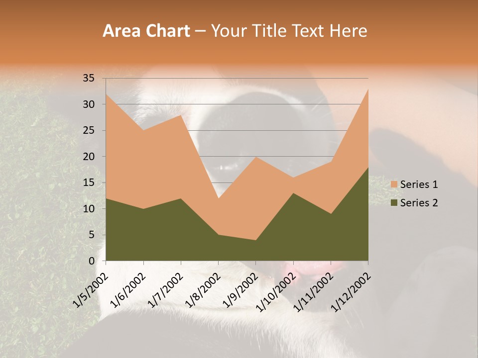 A Black And White Dog Sitting On Top Of A Lush Green Field PowerPoint Template