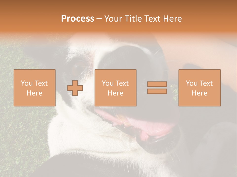 A Black And White Dog Sitting On Top Of A Lush Green Field PowerPoint Template