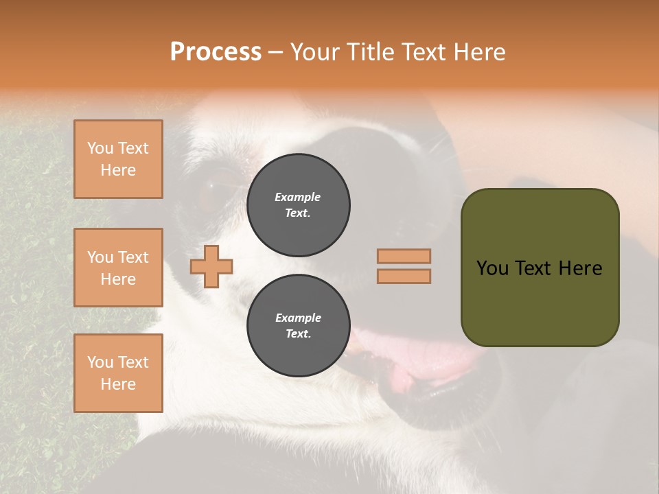 A Black And White Dog Sitting On Top Of A Lush Green Field PowerPoint Template