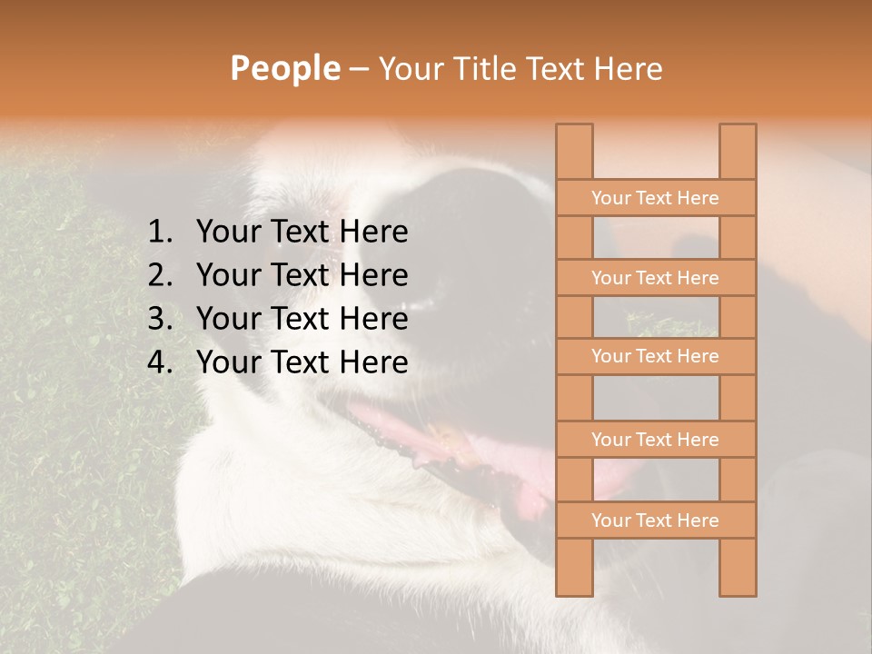 A Black And White Dog Sitting On Top Of A Lush Green Field PowerPoint Template